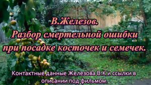 В.Железов. Разбор смертельной ошибки при посадке косточек и семечек.
