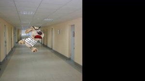 фаза для эп ракеты