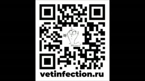 Немного о ИОГА, преднизолоне и гемоплазмах