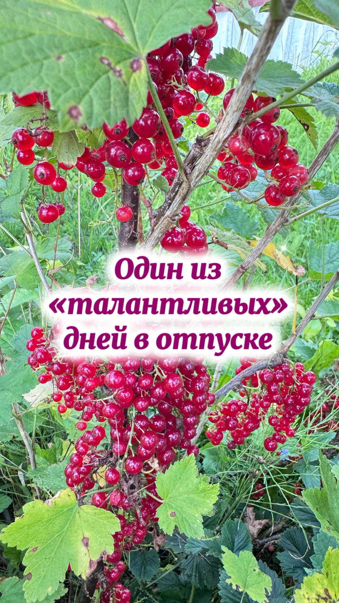 Я так хочу, чтобы отпуск не кончался, чтобы он за мною мчался, за мною вслед))