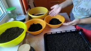 16-07-2026 Заготовка Иван Чая на зиму / яблоневый лист на зиму / деревенская жизнь.