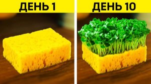 Лайфхаки для садоводства 🌸 Умные лайфхаки для ваших растений