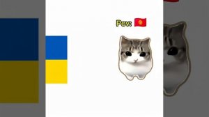 котик реагирует на флаге часть 5 ❤️❤️❤️❤️ #подпишись