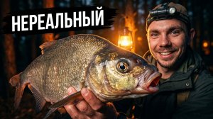 ПОЕХАЛ НА РЫБАЛКУ ОДИН в темном лесу! НЕРЕАЛЬНО БОЛЬШИЕ ЛЕЩИ на ДОНКУ / ЛЕЩ В ИЮЛЕ