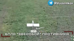 ‼️🇷🇺Кадры боёв: бойцы «Центра» уничтожают пехоту и технику врага в боях за Красноармейском и на Дн