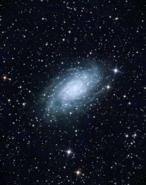 халф лайф