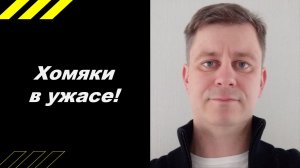 Хомяки в ужасе!!!