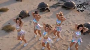 🎶MODERN DISCO SENSATION 2026NU-DISCOTECHNO-STYLE GROOVE✨LETS GO