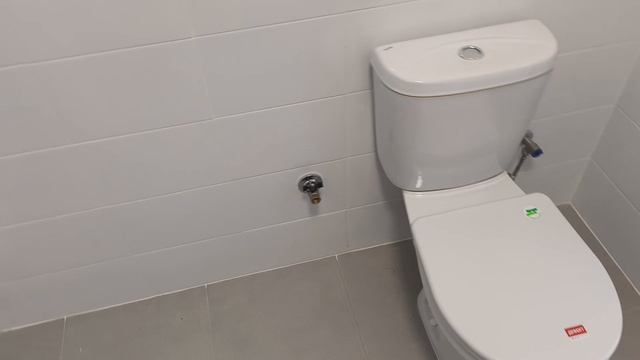 Путешествие в ачко Лиговки, старт допиливания пиговника