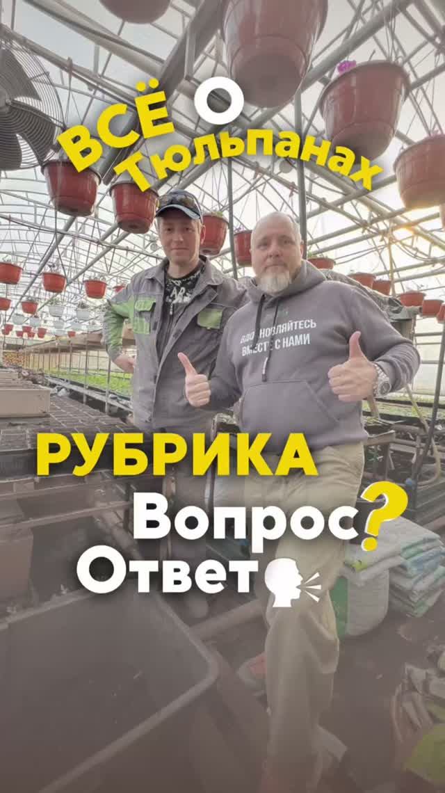 Хотите качественный тюльпан? У нас есть всё для выгонки тюльпанов на гидропонике. Подпишись ⤵️