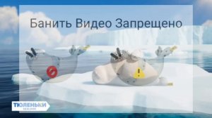 Тюленьки: 11 Серия: Самые милые трио на свете: Подарит вам радость