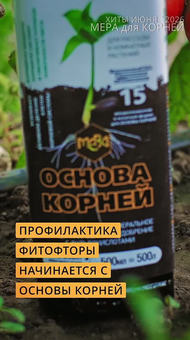 Начинаем профилактику от фитофторы с Основы Корней. #дача #огород #сад #garden #обзордачи #томаты смотреть онлайн