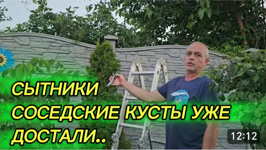 САМВЕЛ АДАМЯН, СЫТНИКИ, СОСЕДСКИЕ КУСТЫ УЖЕ ДОСТАЛИ.. смотреть онлайн