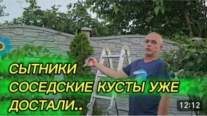 САМВЕЛ АДАМЯН, СЫТНИКИ, СОСЕДСКИЕ КУСТЫ УЖЕ ДОСТАЛИ..
