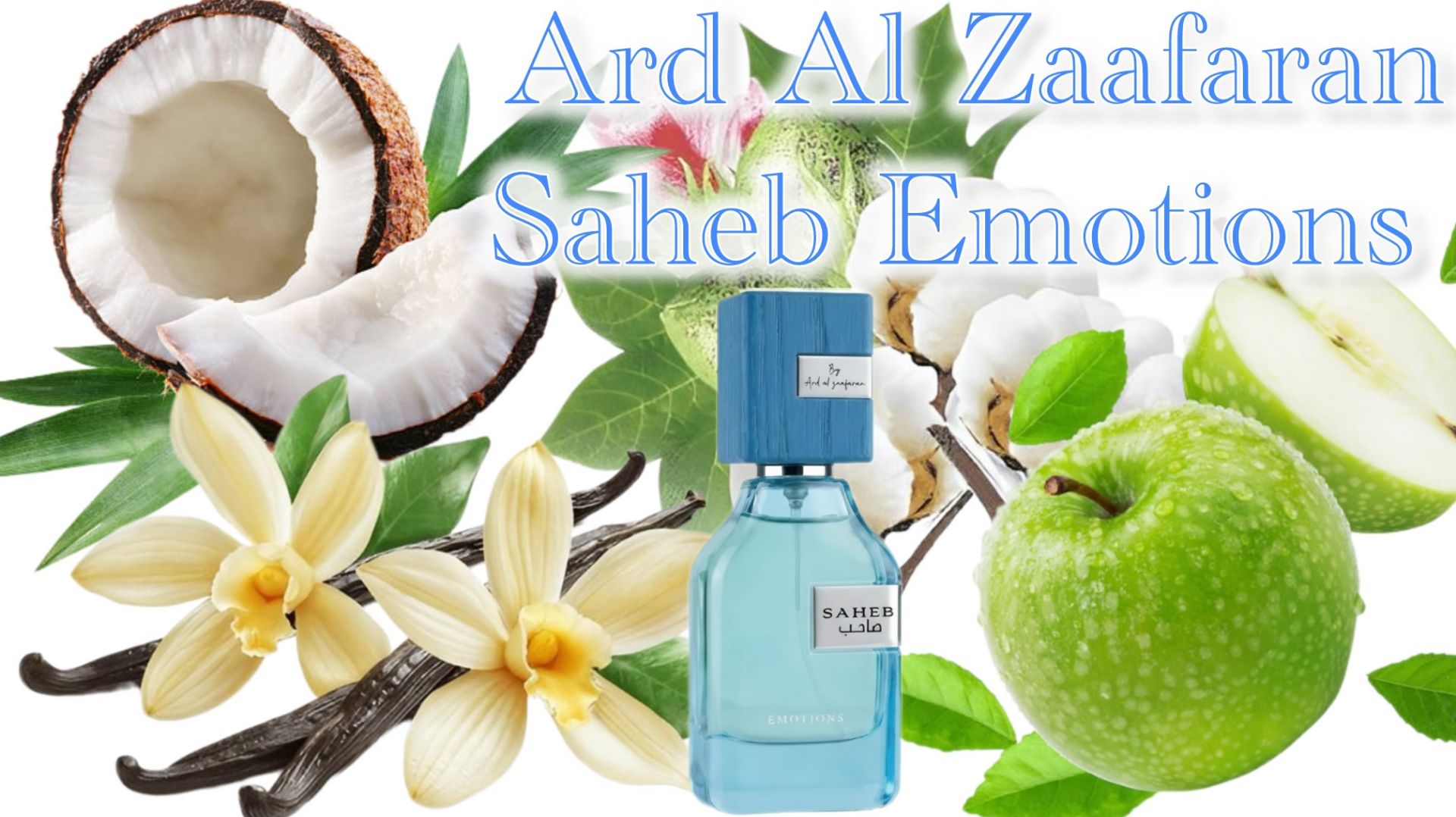 Saheb Emotions Ard Al Zaafaran, или Пешка, которая обязательно станет королевой! смотреть онлайн