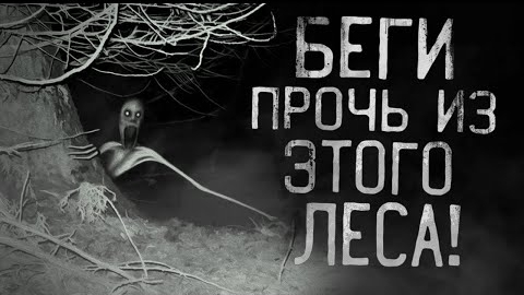БЕГИ ПРОЧЬ ИЗ ЭТОГО ЛЕСА... Страшные истории на. смотреть онлайн