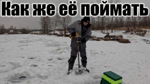 Вот она и на крючке, ну очень сильная рыба #топ #форель