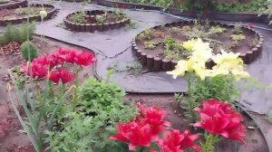 Гроза приподнесла подарок. Потоп.