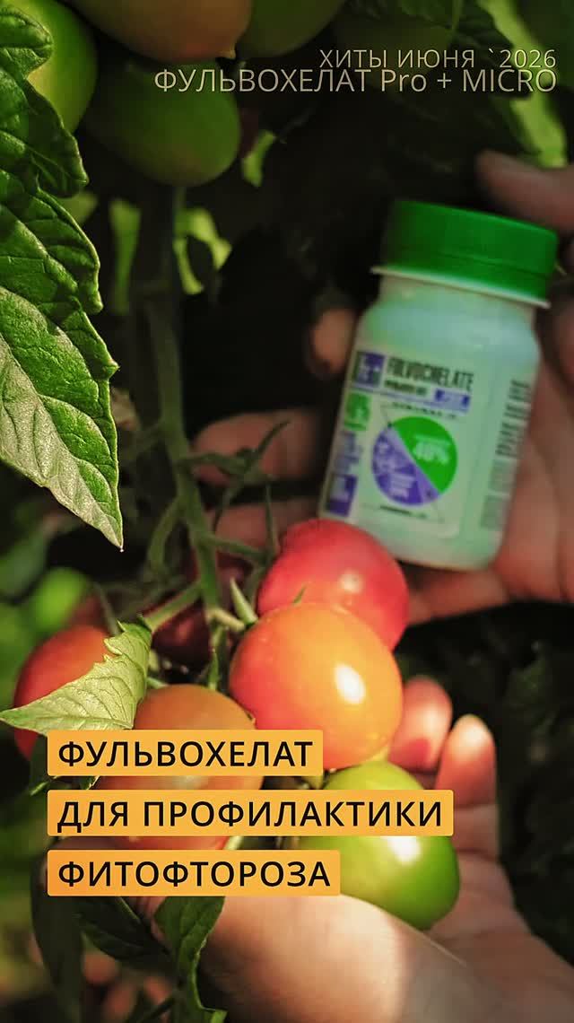 Фульвохелат для профилактики фитофтороза.