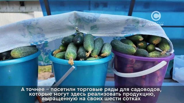 Выездное заседание смотреть онлайн