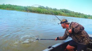 В ЭТОЙ ЯМЕ РЫБЫ МНОГО. ЖОР СОМА НА САРАНЧУ. Рыбалка на сазана. Ловля на жмых и сар