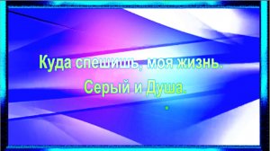 Куда спешишь, моя жизнь.  Серый и Душа.