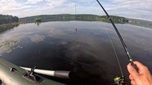 Долгобродка порадовала поклёвками. Чудно время провели.