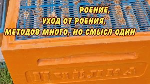 роение, уход от роения, методов много, но смысл один 2025