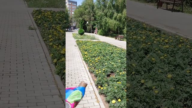 Оружие для победы! 🫣☺️🌞 смотреть онлайн