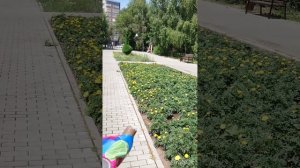 Оружие для победы! 🫣☺️🌞