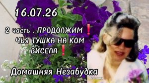 2 часть. ПРОДОЛЖИМ❗️ЧЬЯ ТУШКА НА КОМ ВИСЕЛА❗️