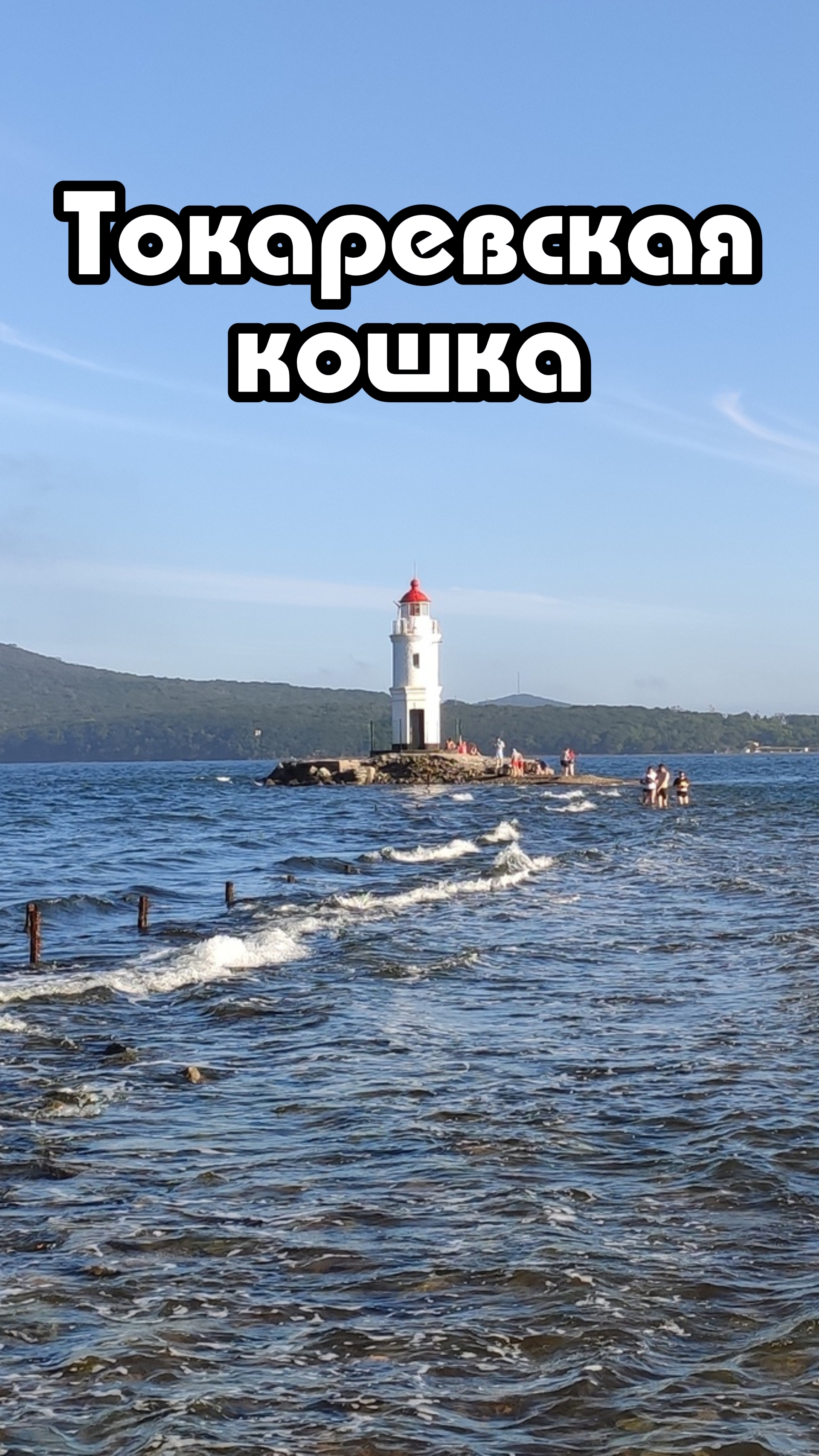 Владивосток. Токаревская кошка