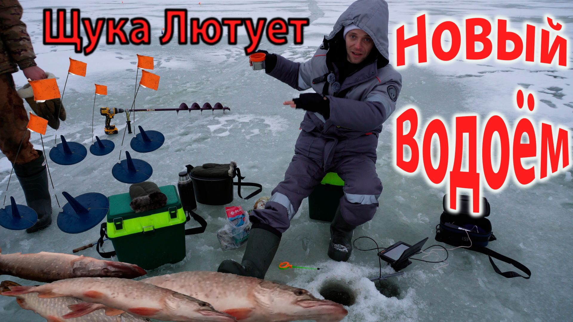 Клев Щуки на Жерлицы Зимой на Бесплатном Пруду открытие сезона #рыбалка #рыбалка2025