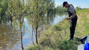 УДАЧА НА НАШЕЙ СТОРОНЕ, ПОЙМАЛИ МНОГО РЫБЫ! Проверка снастей с сыном #рыбалка #фитили #сети