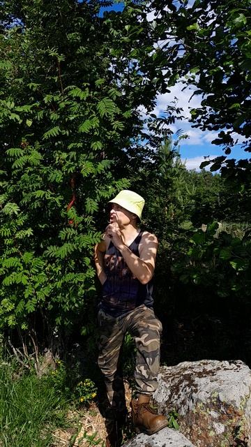 Змеи в лесу