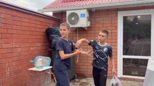 Шатенка в законе . Абреки