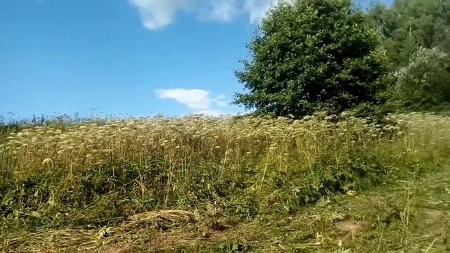 MINTAKA новые территории