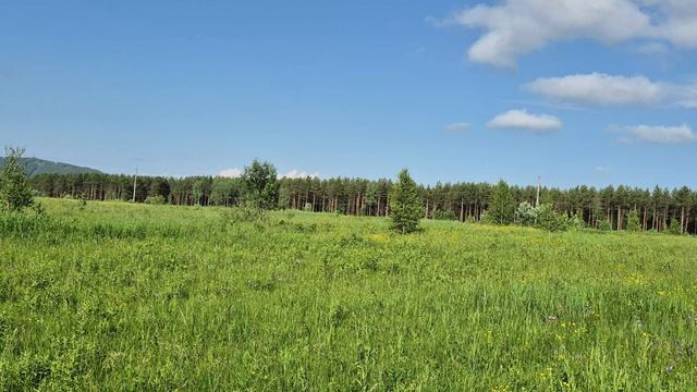 17июля 2026г. ГУБАХА. ПЕРМСКИЙ КРАЙ.