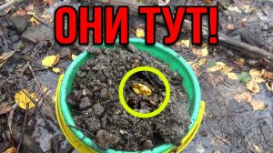 Золото из отвалов старинного прииска!