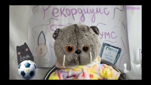 Басик в Басо-новостях у Котобаса ⚽🐈