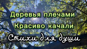 Макс Настоящев, Деревья плечами красиво качали, читает Ната Звонка, стихи для души