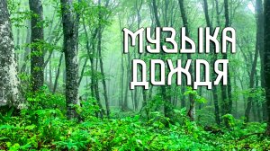 Звуки природы / Музыка дождя в глубине леса / Гроза, лягушка, птица и вода