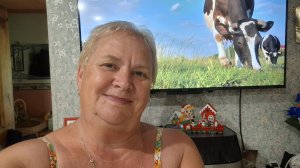 527. Привет из Крыма. Огурцы идут в банки. Гармонь от Михалыча. 16.07.26.