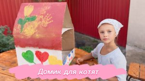 Неожиданная находка, кошка родила котят. Строим домик