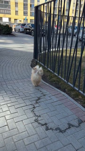 Приспичило 😀 смотреть онлайн