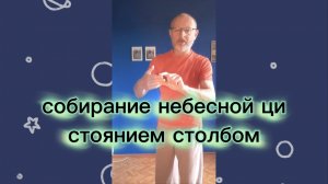 Утренний цигун 14.07.2026 #цигун #цигундляначинающих #цигунонлайн #утренний #утреннее