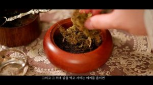 밤의 궁전에 입장할 수 있는 마법의 포션 만들기 ASMR