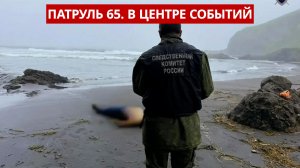 ПАТРУЛЬ 65. Турист погиб на Итурупе, нападение собак на мальчика и лобовое ДТП. Сахалин 16.07.26