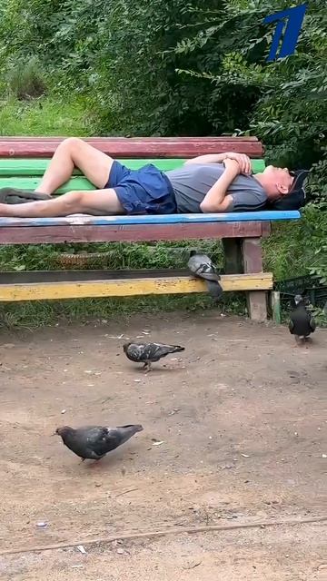 Всем пример! #юмор #приколы #врекомендации