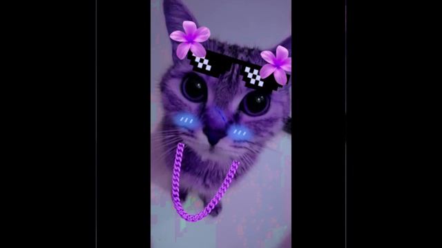 Видосик со мной ❤